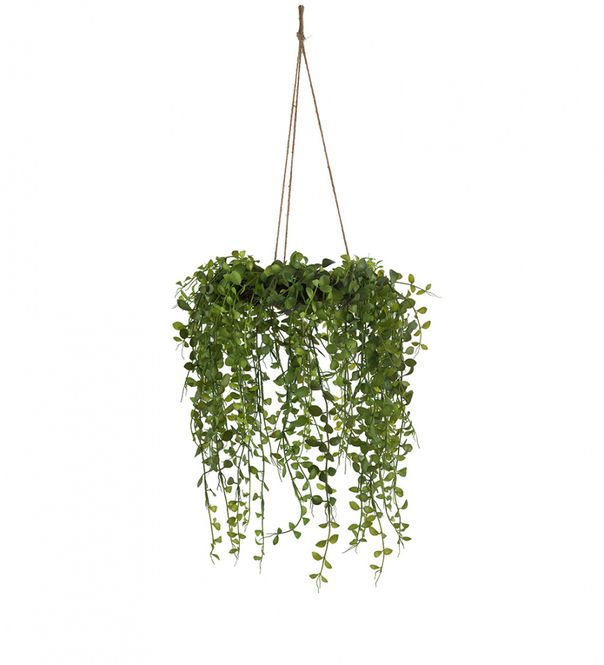Hovedbilde Mr.Plant - Senecio kunstig hengeplante