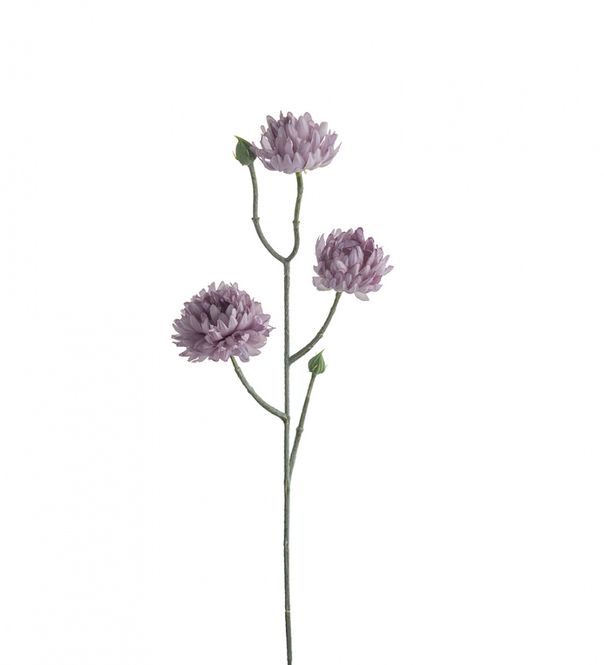 Hovedbilde Mr. Plant - Eternell 50 cm kunstig