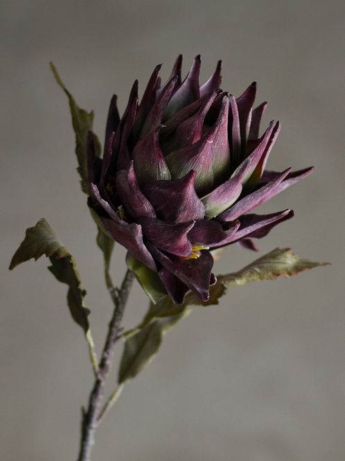 Hovedbilde Bloomingville - Protea Stilk, Lilla, Kunstige ...